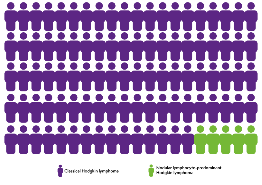 Graphic showing nodular lymphocyte-predominant Hodgkin lymphoma is far less common than Classical Hodgkin lymphoma, accounting for around 5% of cases