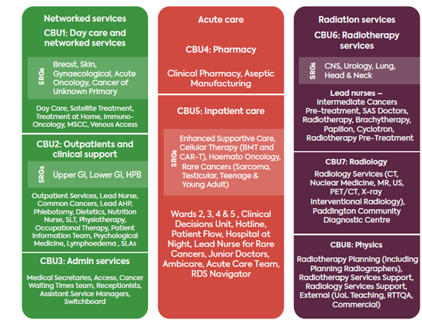 Graphic showing operational model with three clinical divisions
