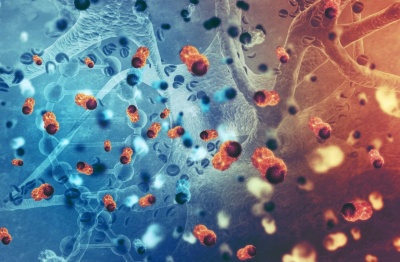 Blood cancer research wins award thumbnail image